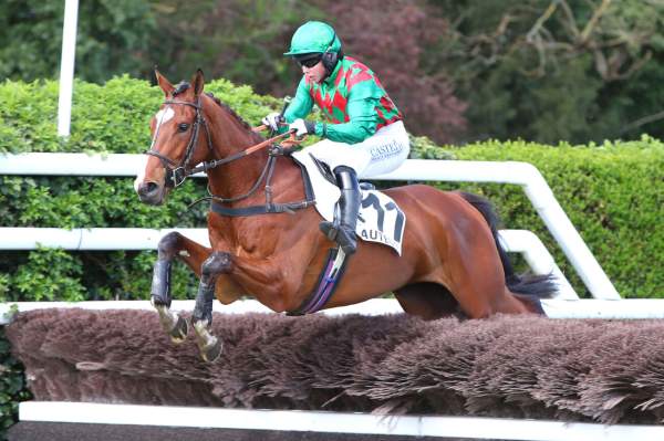 La photo de Matin Midi Et Soir arrivée pmu Prix Grandak à Auteuil