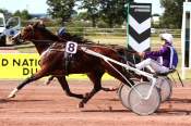 La photo de King Of Day