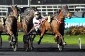La photo de Leader Tuilerie