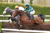 La photo de Lebrio Des Mottes arrivée pmu Prix de Dinard à Compiègne