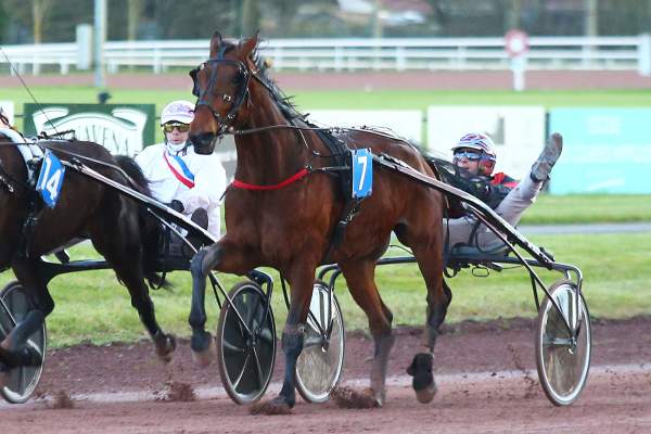 Photo de HORACE D'ARTHENAY cheval de TROT ATTELE