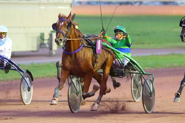 Photo de LILIAN DU PARADIS cheval de TROT ATTELE