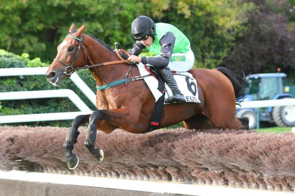 Photo de ROOSTER CROWING cheval de HAIES