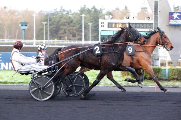 Photo de KARAT DEFF cheval de TROT ATTELE