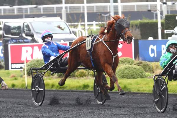 Photo de GRAND TRIO LUDOIS cheval de TROT ATTELE