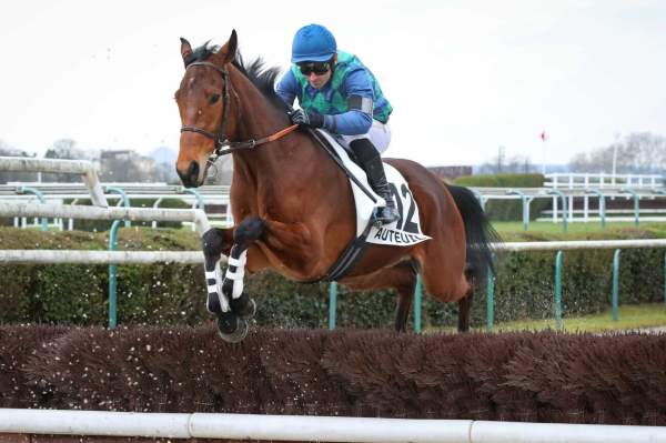 Photo de KILLING BID cheval de STEEPLE CHASE