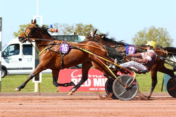 La photo de Ino Du Lupin Arrivée Quinté+ Pmu Grand Prix Angers Loire Metropole à ANGERS