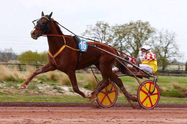 La photo de Kelyo Du Solnan 