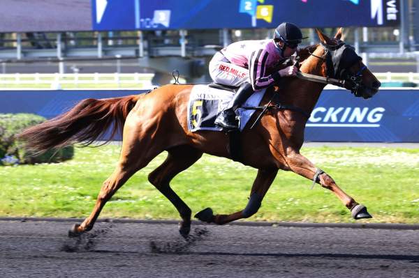 Photo de LUTECIA ELLIS cheval de TROT MONTE