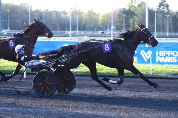 La photo de Lady Pop arrivée pmu Prix Aquila à Paris-Vincennes