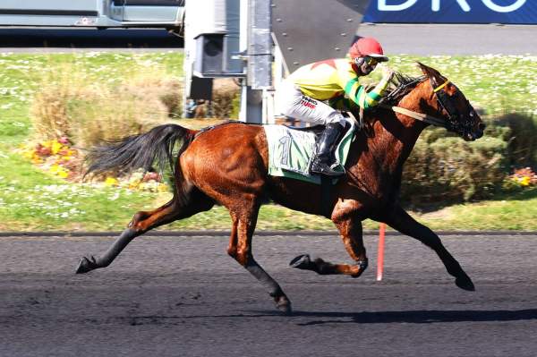 La photo de Impala De Val Arrivée Pick5 PMU Prix Cornelia à Vincennes