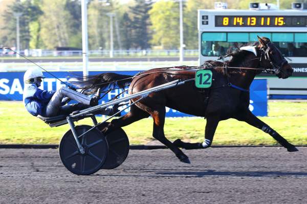 Photo de KISS ME DOMPIERRE cheval de TROT ATTELE