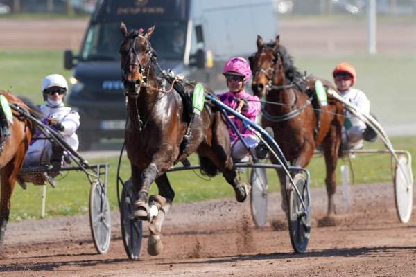 Photo de JAG DE ROZEVIC cheval de TROT ATTELE