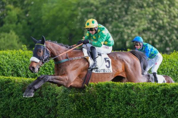 Photo de ALTURA cheval de STEEPLE CHASE