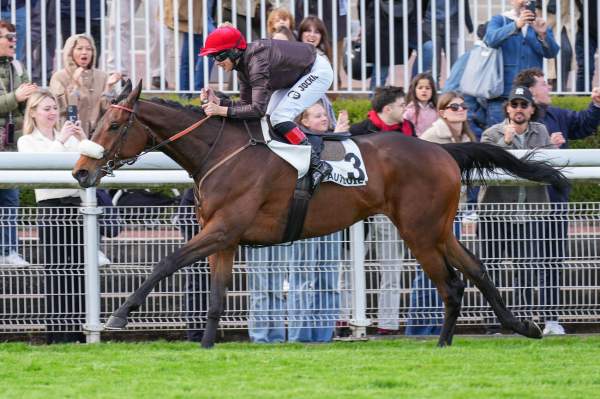 La photo de Six Figures arrivée pmu Prix Amadou à Auteuil