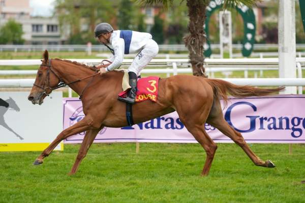 Photo de RABBIT'S FOOT cheval de PLAT