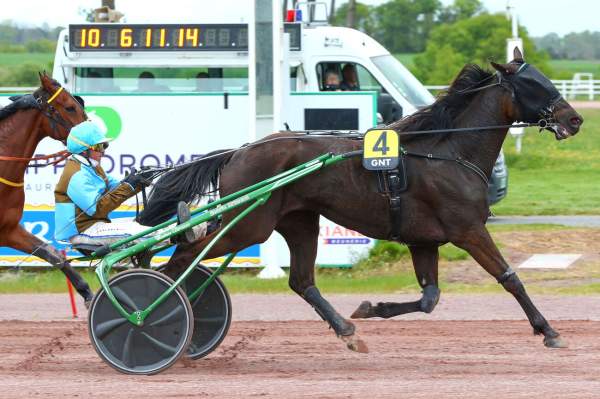 La photo de Je Reve Du Bois arrivée Quinté+ pmu 4è Etape du G.N.T. à Maure de Bretagne