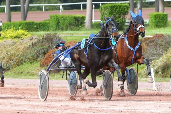 Photo de LAZAN DE PASSIEU cheval de TROT ATTELE