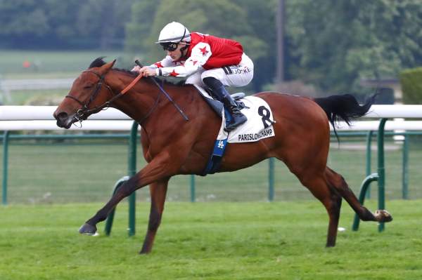 Photo de LAITH cheval de PLAT