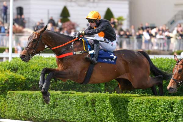 La photo de Gran Diose arrivée pmu Grand Steeple-chase Masters - Prix Ingré (Gr.II) à Auteuil
