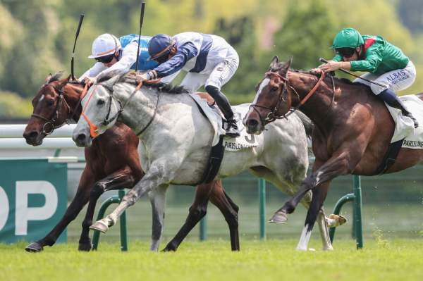La photo de Presage Nocturne Arrivée PMU Prix de Barbeville à ParisLongchamp. Stéphane Pasquier
