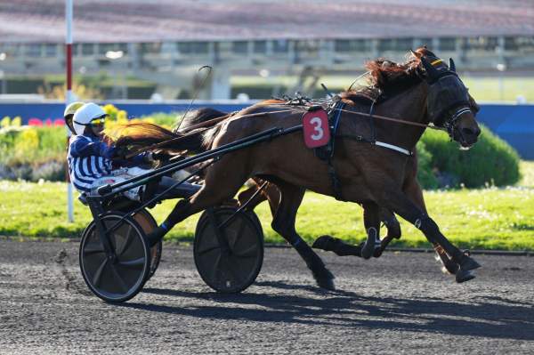 La photo de La Mitidja 