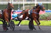 La photo de Midnight Express