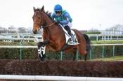 La photo de Killing Bid