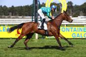 La photo de Atlantic Ways arrivée pmu Prix du Bois de la Commanderie à Fontainebleau