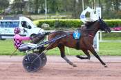 La photo de Maestro De Retz arrivée pmu Prix Le Jockey Damgan à Pontchâteau