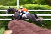 La photo de Nikkaluokta arrivée pmu Prix Gérald de Rochefort (L) à Auteuil