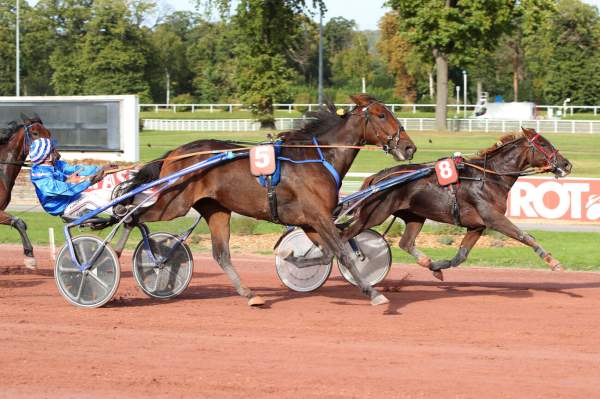 Photo de JOIE DE LA COTE cheval de TROT ATTELE