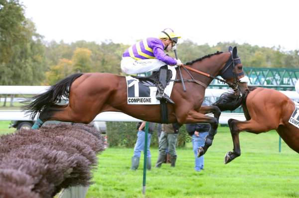 Photo de LUMINO BELLO cheval de STEEPLE CHASE
