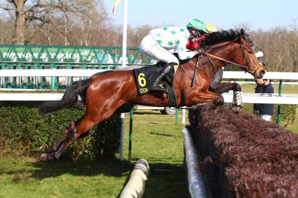 Photo de BELLINA DU BERLAIS cheval de STEEPLE CHASE