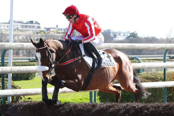 Photo de HEROS D'AINAY cheval de HAIES
