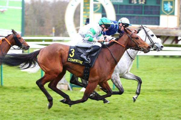 Photo de TIMBALLINA cheval de PLAT