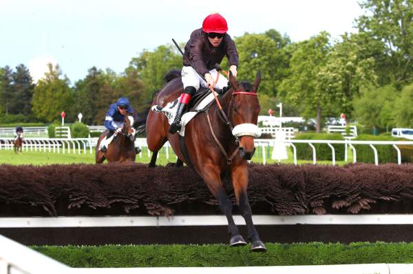 Photo de SIX FIGURES cheval de HAIES