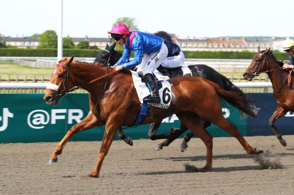 Photo de PIERRE LE GRAND cheval de PLAT