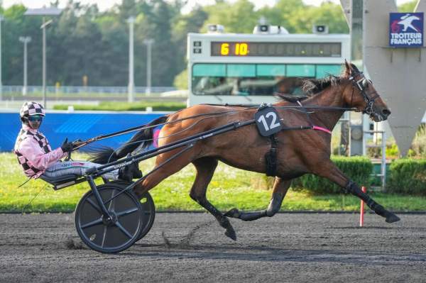 Photo de JANE CASH cheval de TROT ATTELE