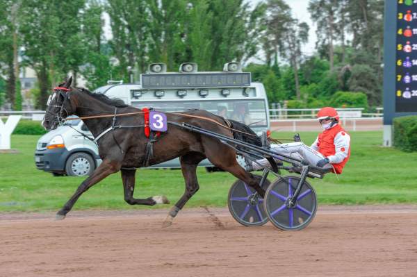 La photo de Ilton De Bellande arrivée Quinté+ pmu Prix Henri Berry à Vichy