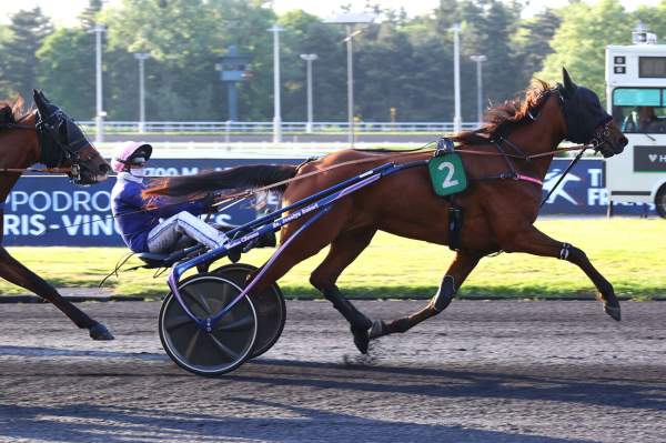 Photo de MARVINA BELLA cheval de TROT ATTELE