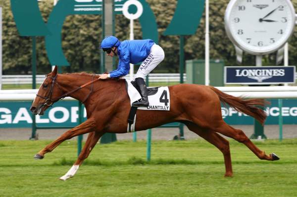 La photo de Cualificar arrivée pmu Prix de Guiche (Gr.3) à Chantilly