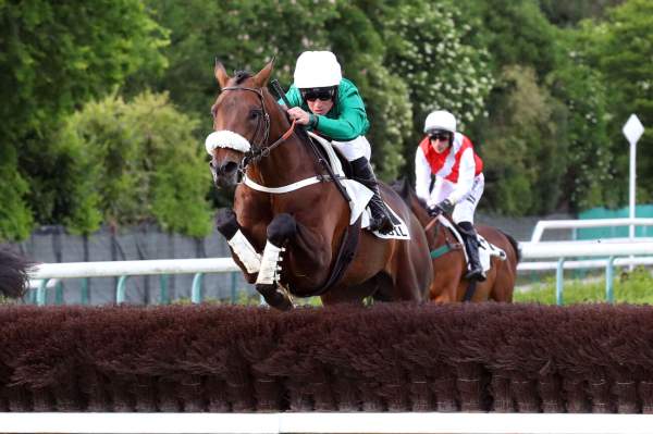 La photo de Shannon Maestro 