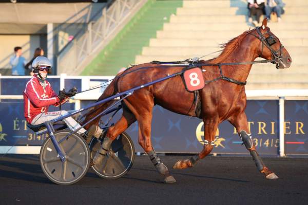 Photo de METEORE DE SIMM cheval de TROT MONTE