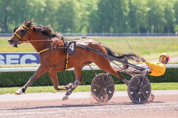 La photo de Iris Du Perche 