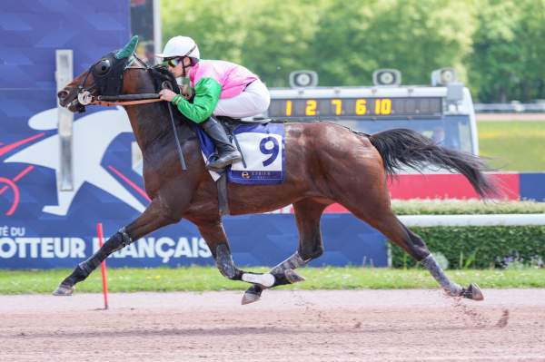 La photo de Mhum Flyng 