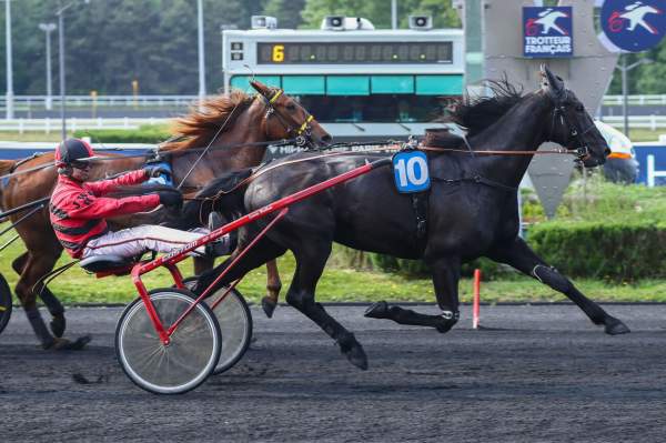 Photo de HULYSSE DIGEO cheval de TROT ATTELE