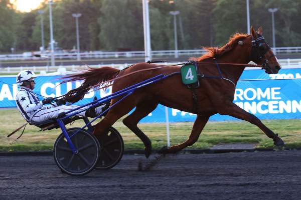 Photo de LE TOUQUET cheval de TROT ATTELE