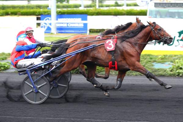 Photo de KANSAS QUESNOT cheval de TROT ATTELE
