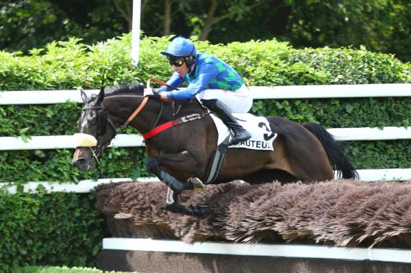 Photo de KANDY PARK cheval de HAIES